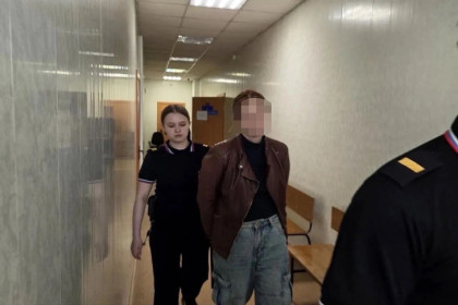 Жительницу Новосибирска наказали в стократном размере за поддержку экстремизма