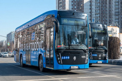 Электробусами заменят троллейбусы в Новосибирске
