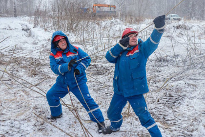 Снежный буран оставил без света часть Новосибирска и пригород