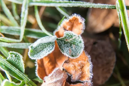 В Новосибирске начнется потепление в Куприянов день 15 октября