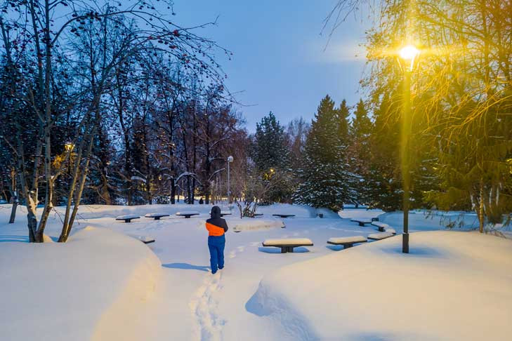 Свежесть и красота: прогноз погоды по дням на 30 января – 5 февраля в Новосибирске