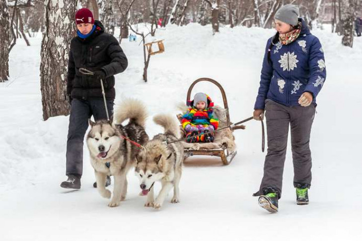 Куда сходить с детьми в новосибирске зимой. Зимние развлечения в Новосибирске. Карелия зимой развлечения. Какие развлечения зимой в Новосибирске.