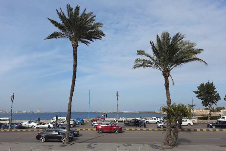 Эфиопия, Коста-Рика, Уругвай: новосибирцы стали больше интересоваться Африкой и Латинской Америкой