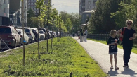 На улице Каменской в Новосибирске высадят Аллею Памяти героев