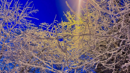 Морозы до -33 градусов ударят в Новосибирской области