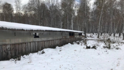 Построил не в том месте: прокуратура снесла ферму новосибирца