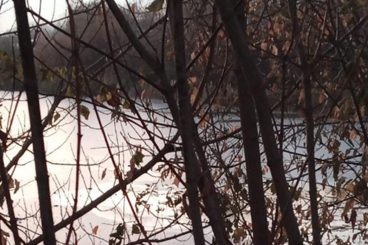 Школьница провалилась под лед на улице Бронная в Новосибирске