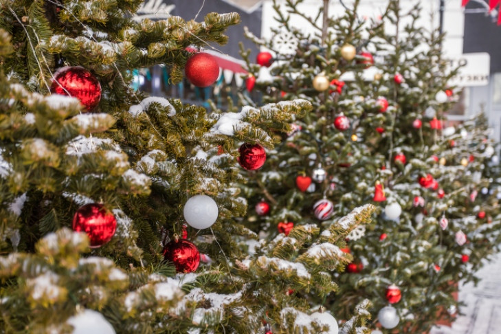 «Без звезды – незачет» -  в мэрии Новосибирска назвали главное условие конкурса новогодних елок