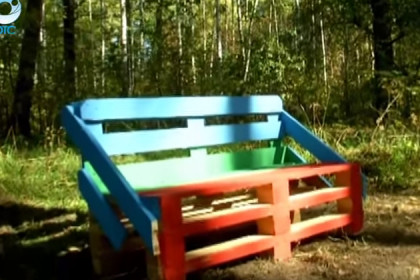 Эко-скамейки установили в Новосибирском  дендропарке 