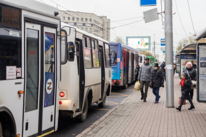 Троллейбус до аэропорта Толмачево планируют запустить в Новосибирске