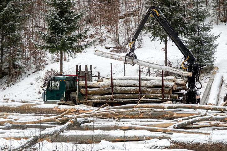 Сфера лесной и деревообрабатывающей промышленности стала самой высокооплачиваемой для вахтовиков в Новосибирской области