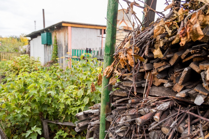 Рейд по дачам в поисках нелегалов устроили полицейские в Новосибирске