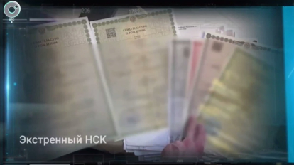 Новосибирские мошенники выдумали 664 ребёнка ради 237 млн рублей