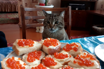 Стратегически важные ресурсы перевозил через Новосибирск житель Владивостока