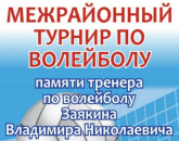 В Здвинске пройдет межрайонный турнир по волейболу