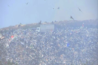 В Новосибирской области продлен срок работы Левобережной свалки