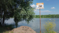 В Новосибирской области с начала купального сезона утонули 12 человек