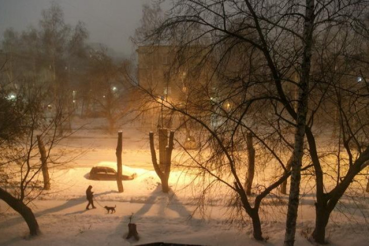 Погода в Новосибирске на 9-15 января: морозы, потепление и снова морозы 