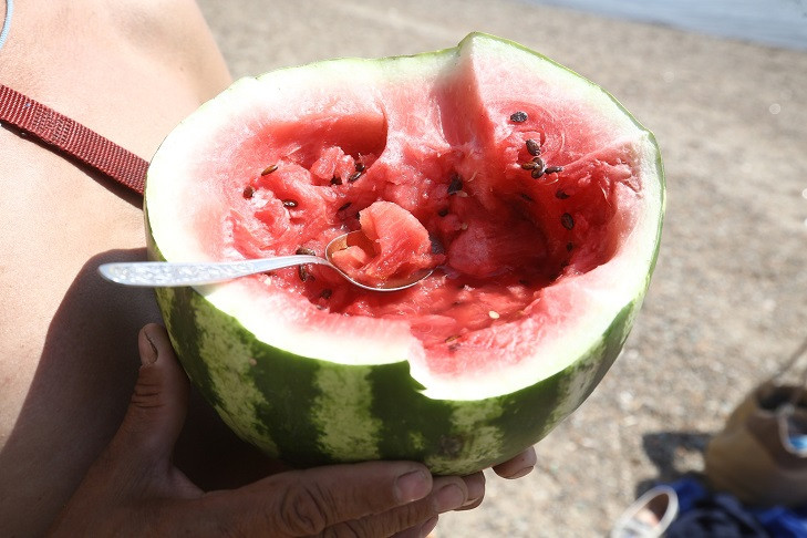 Жителей Новосибирска предупредили об отравлении арбузами в августе-2025