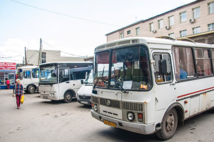 Расписание автобусов Здвинск – Новосибирск-2019: цена и время
