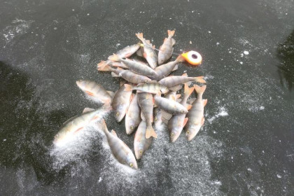 Рыбаки в Новосибирске открыли зимний сезон на смертельно опасном льду
