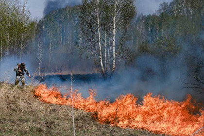 Угрозу перехода огня к населенным пунктам устранили в Каргатском районе