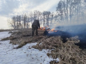 Особый пожароопасный режим установлен в Искитимском районе