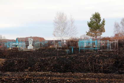 Кладбище с могилами участников ВОВ выгорело под Новосибирском