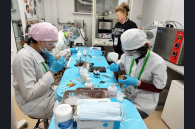 Студентка Новосибирского медколледжа победила в чемпионате «Профессионалы»