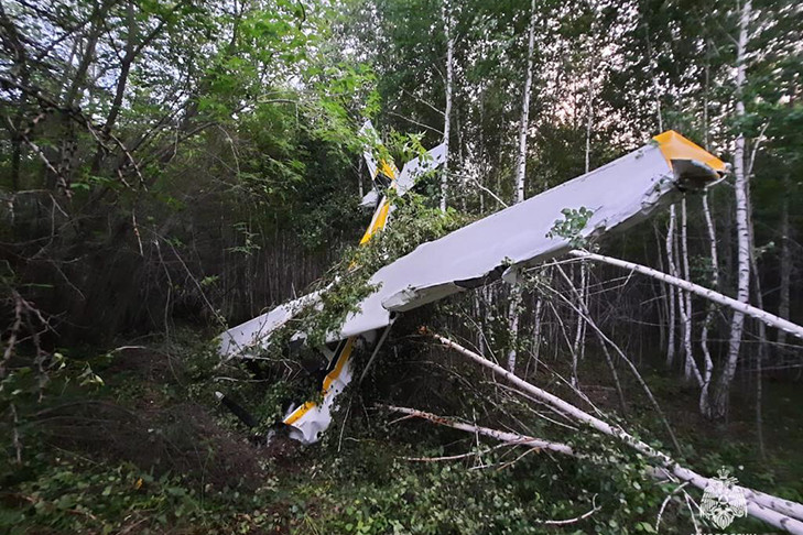 Минздрав сообщил о состоянии пострадавших при крушении самолета в Новосибирске