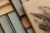 Бердчан пригласили на Библионочь-2026