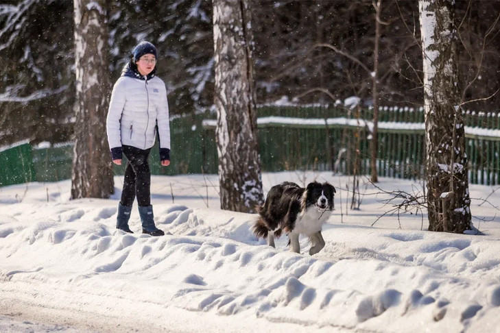 Снег и ветер идут на смену морозам в Новосибирск