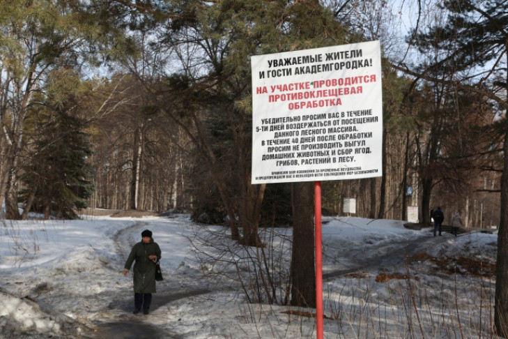 Первый случай укуса клеща зарегистрировали в Новосибирске