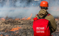В регионе введен особый противопожарный режим