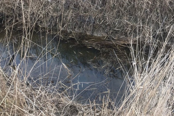 Групповое убийство односельчанина совершили пьяные жители Баганского района