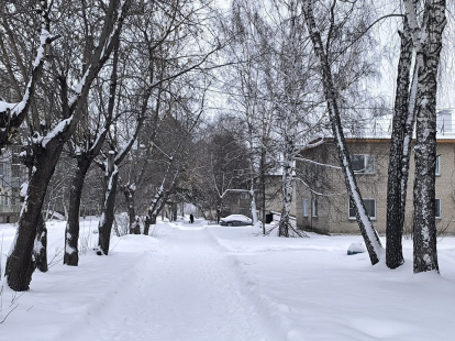 Морозы до -34 градусов с 8 декабря прогнозируют в Новосибирской области