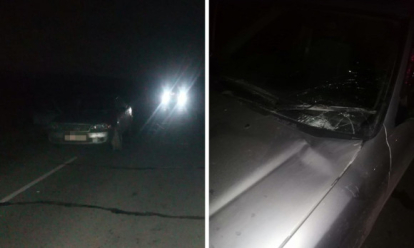 Вышел на дорогу в ночи: иномарка насмерть сбила пешехода под Новосибирском