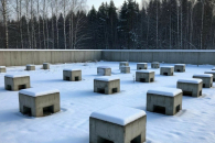 Новосибирские дольщики потребовали банкротства «Мегадома»