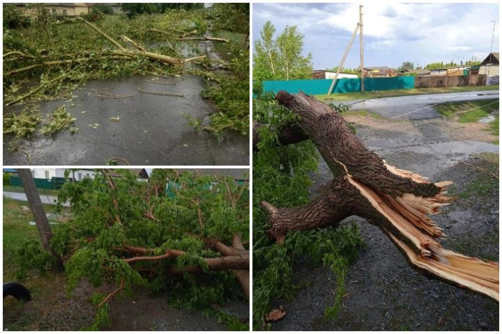 Ликвидацию последствий штормового ветра в Новосибирской области обсудят в правительстве