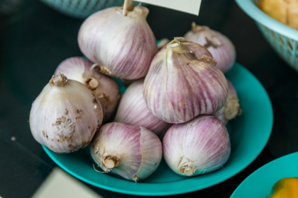 Точный срок посадки озимого чеснока назвал новосибирцам агроном Мармулев