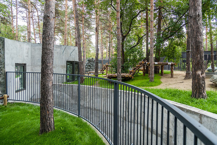 Пожарную безопасность учреждений Новосибирска проверят после трагедии в зоопарке