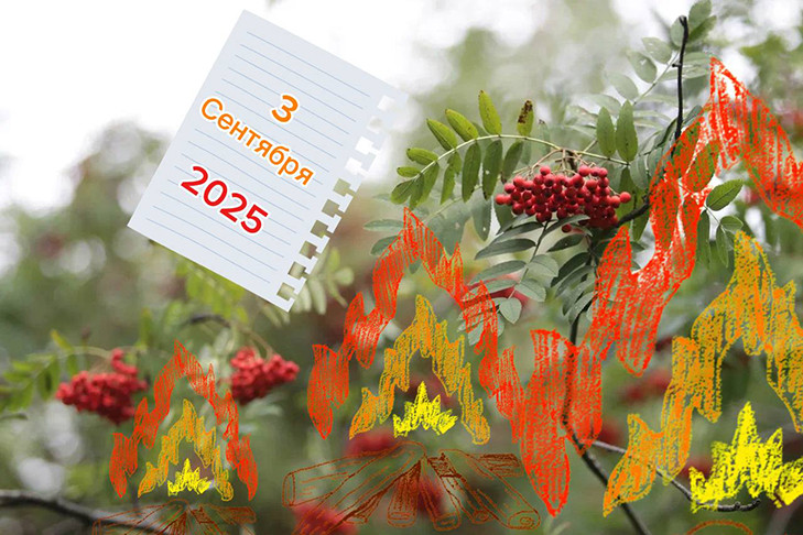 3 Сентября: Шуфутинов день, когда переворачивают календари - шутки, мемы и поздравления