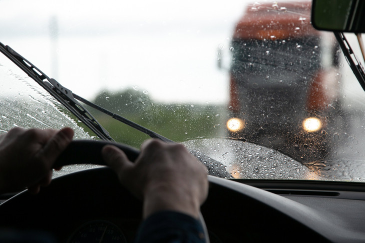 Эксперт НГАУ объяснила проблемы с отмыванием насекомых с лобового стекла