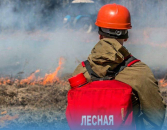 Особый противопожарный режим введён в Новосибирской области