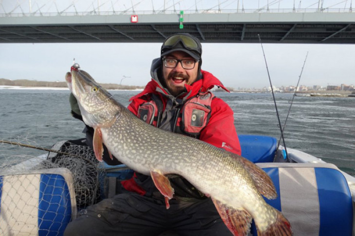Рыбак отпустил огромную щуку, пойманную под Бугринским мостом