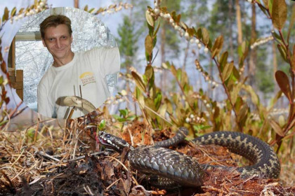Самые змеиные места в Новосибирской области назвал герпетолог Василий Кокенко