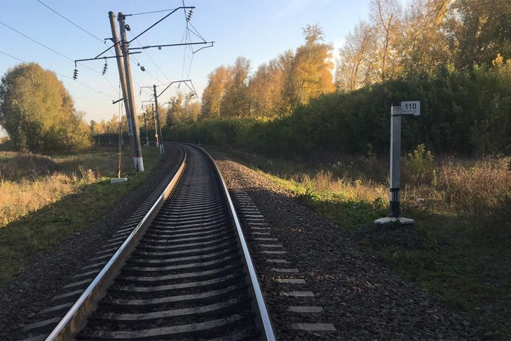 Поезд сбил 18-летнюю девушку в Новосибирской области