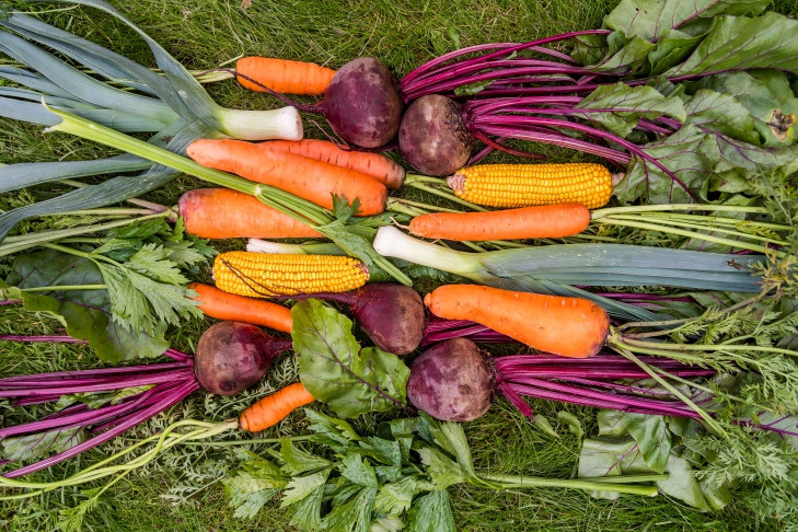 Борщевой набор вырос в цене на 20% в Новосибирске