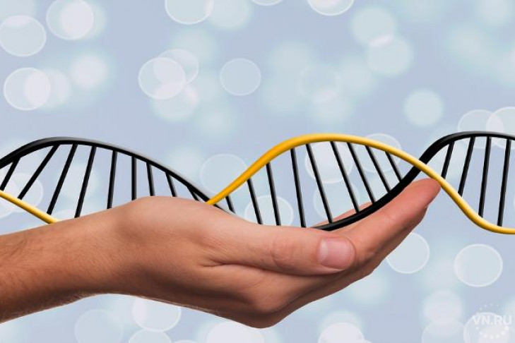 Мифы о генетической несовместимости супругов и HLA-типировании развеяли эксперты