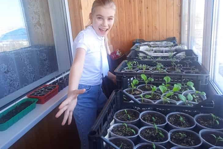 Сроки посева рассады томатов в апреле назвала эксперт Наталья Иванцова